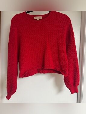 Philosophy Bright Red Cable-Knit Cropped Crewneck Sweater